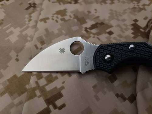 Складной нож Spyderco Dragonfly 2 Wharncliffe C28FPWCBK2 фото 15