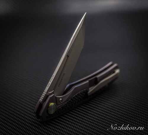 Складной нож Bestech Knives Predator BT1706A фото 19